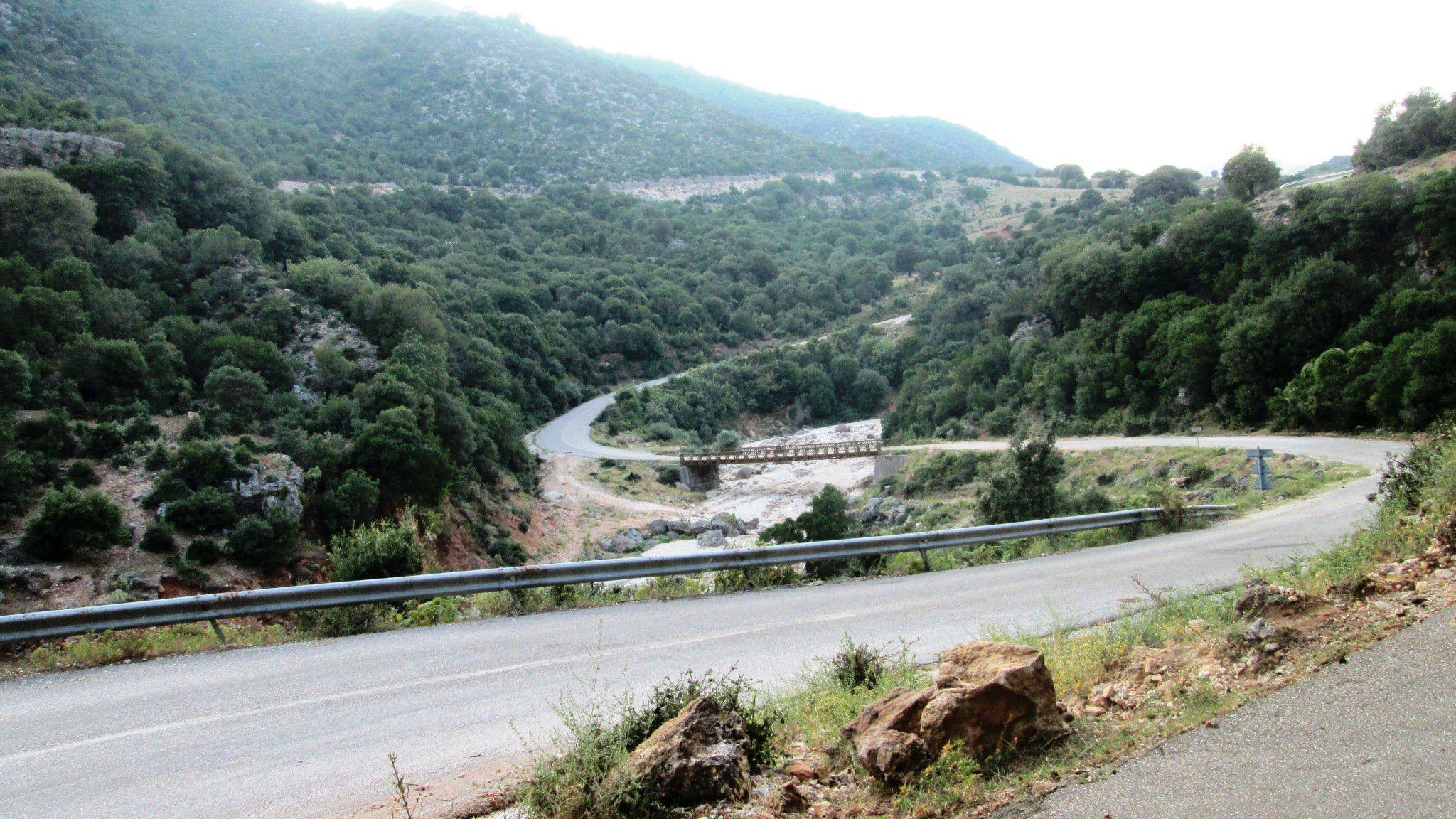 Σούλι Κούγκι Σαμονίβα ράχη δράκου