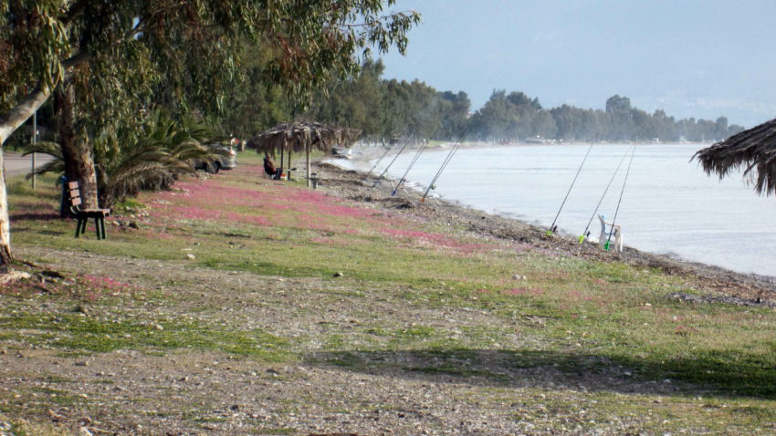 Εύβοια Γιάλτρα Αιδηψός Βρυνιώτης ποδήλατο φάρος Βασιλίνας