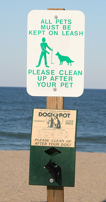 Notice σκυλια