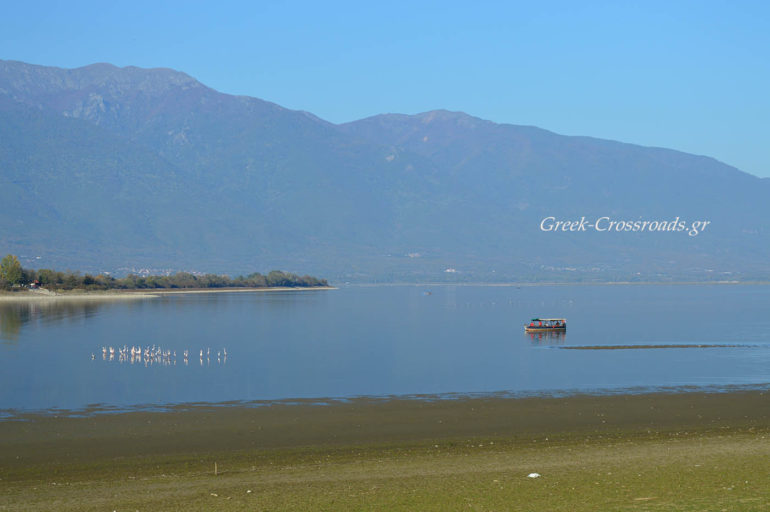 Λίιμνη Κερκίνη φλαμίνγκο βαρκάδα