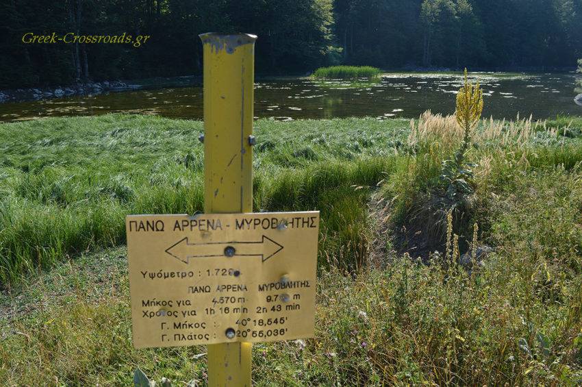 Αρένες λίμνες Γράμμος