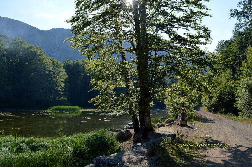 Αρένες λίμνες Γράμμος